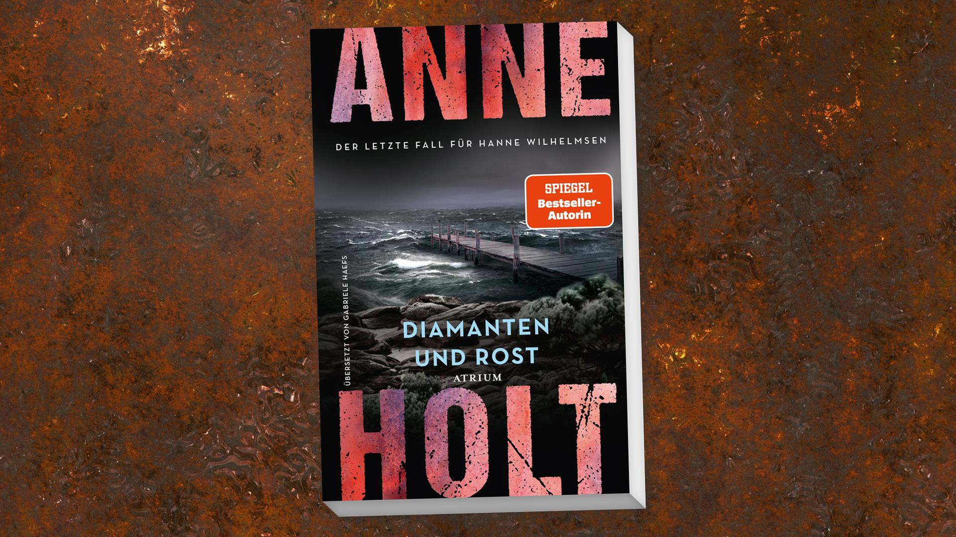 Krimi "Diamanten und Rost": Anne Holts neue fesselnde Lektüre
