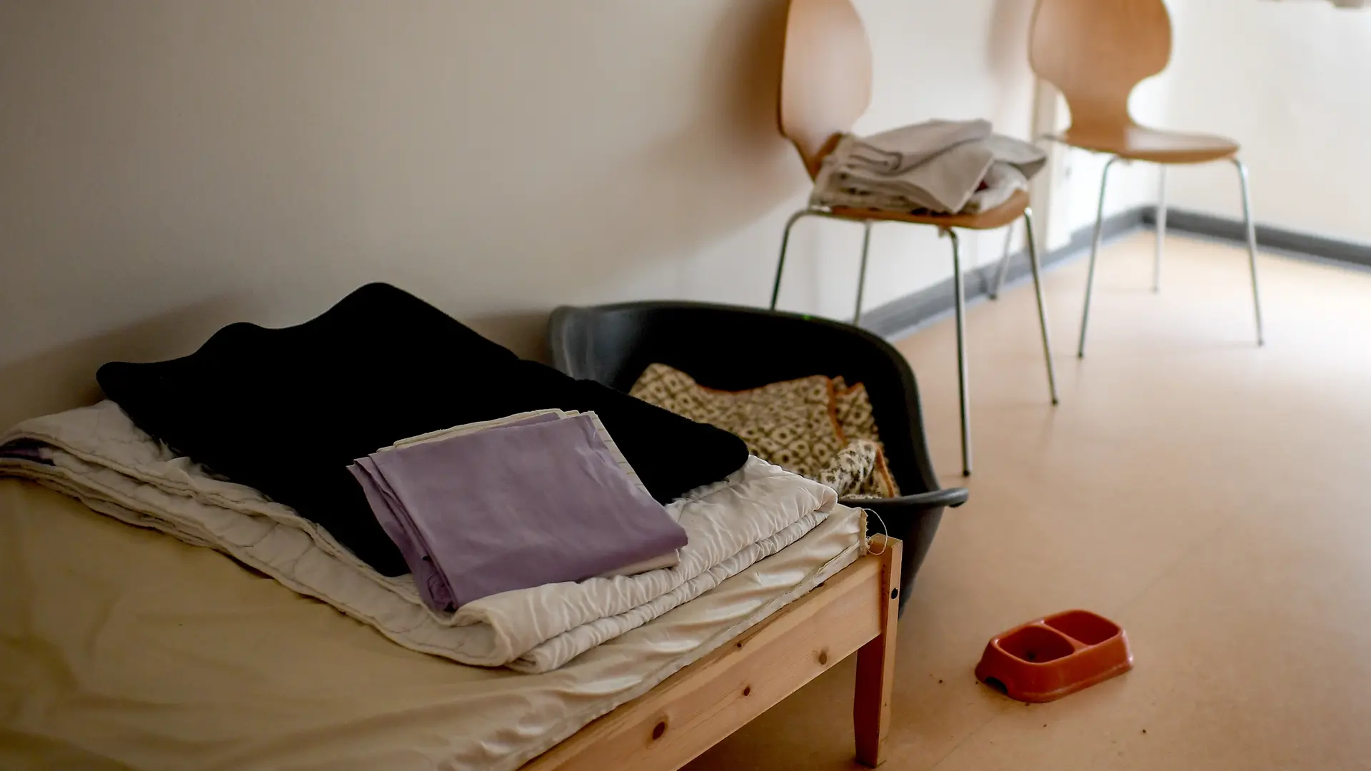 Tausende Minderjährige in SH wohnungslos: Warum die Zahlen steigen