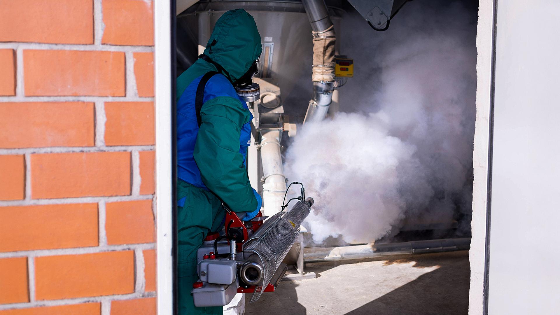 Silberfische, Ratten oder Wespen: Kammerjäger im Norden gefragt