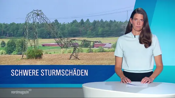 Eine Grafik mit einem umgekippten Strommast, davor Nachrichtensprecherin Martina Scheller.