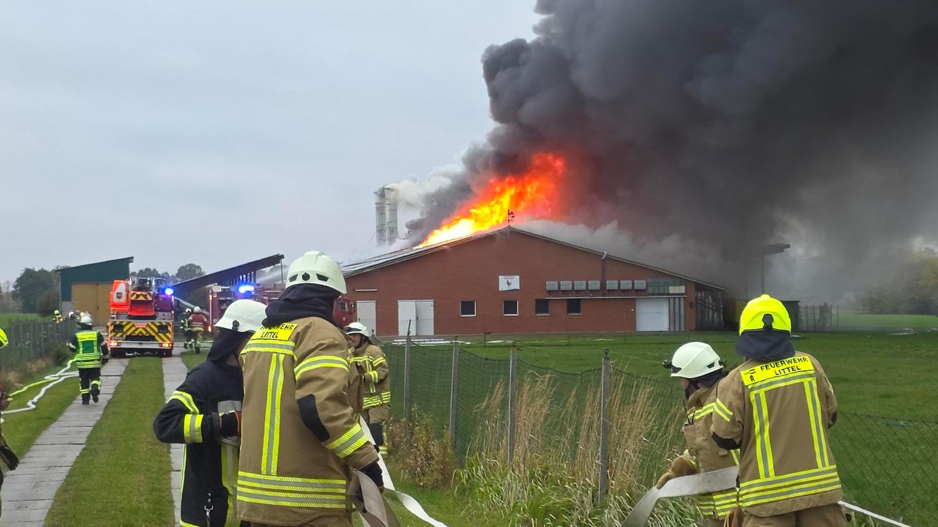 Ein Hühnerstall mit tausenden Hühnern steht in Brand. | Nord-West-Media TV