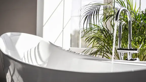 Wasser läuft in eine Badewanne, dahinter eine Zimmerpalme | Colourbox, Brillianata Wasser läuft in eine Badewanne, dahinter eine Zimmerpalme