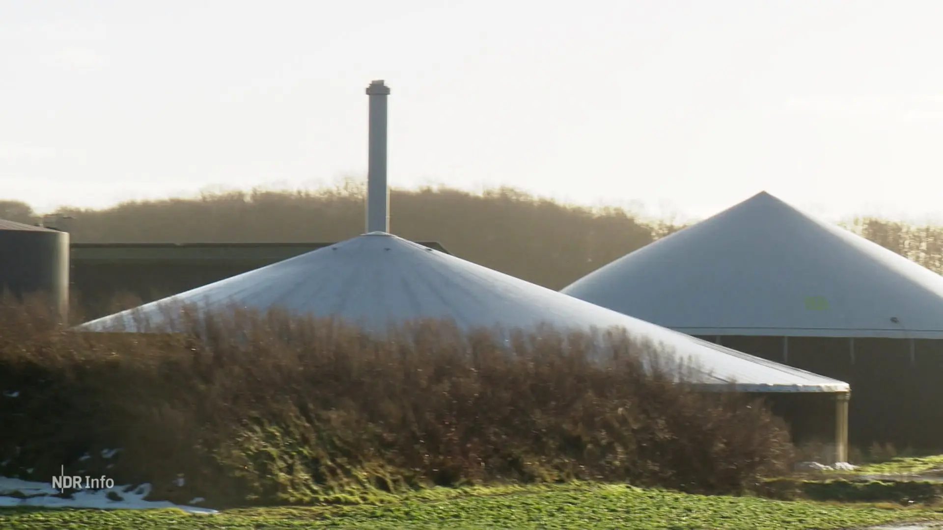 Auslaufende Förderung: Wie geht es weiter mit Biogasanlagen?