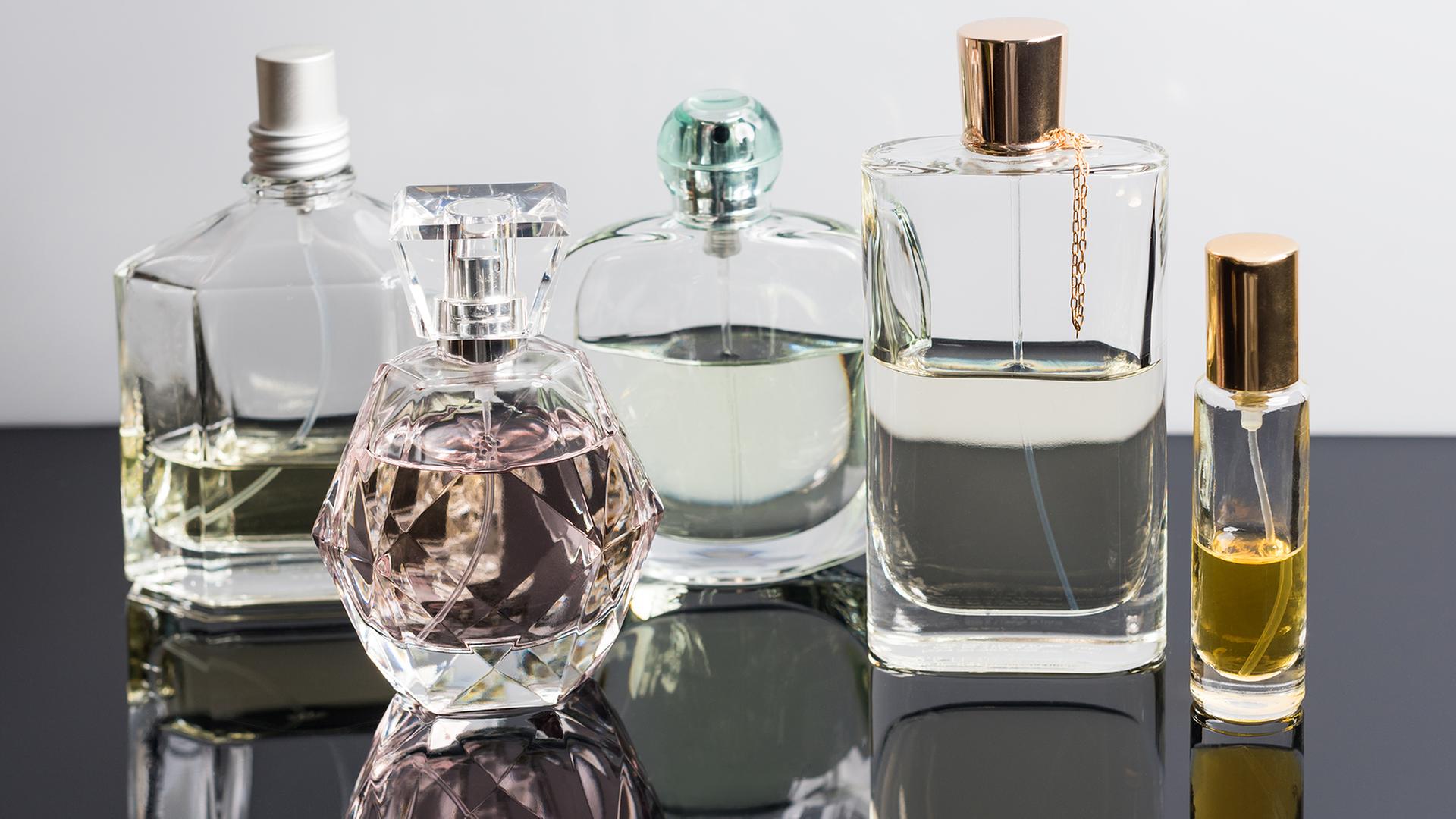 Stralsunder Zoll entdeckt unzählige gefälschte Luxusartikel