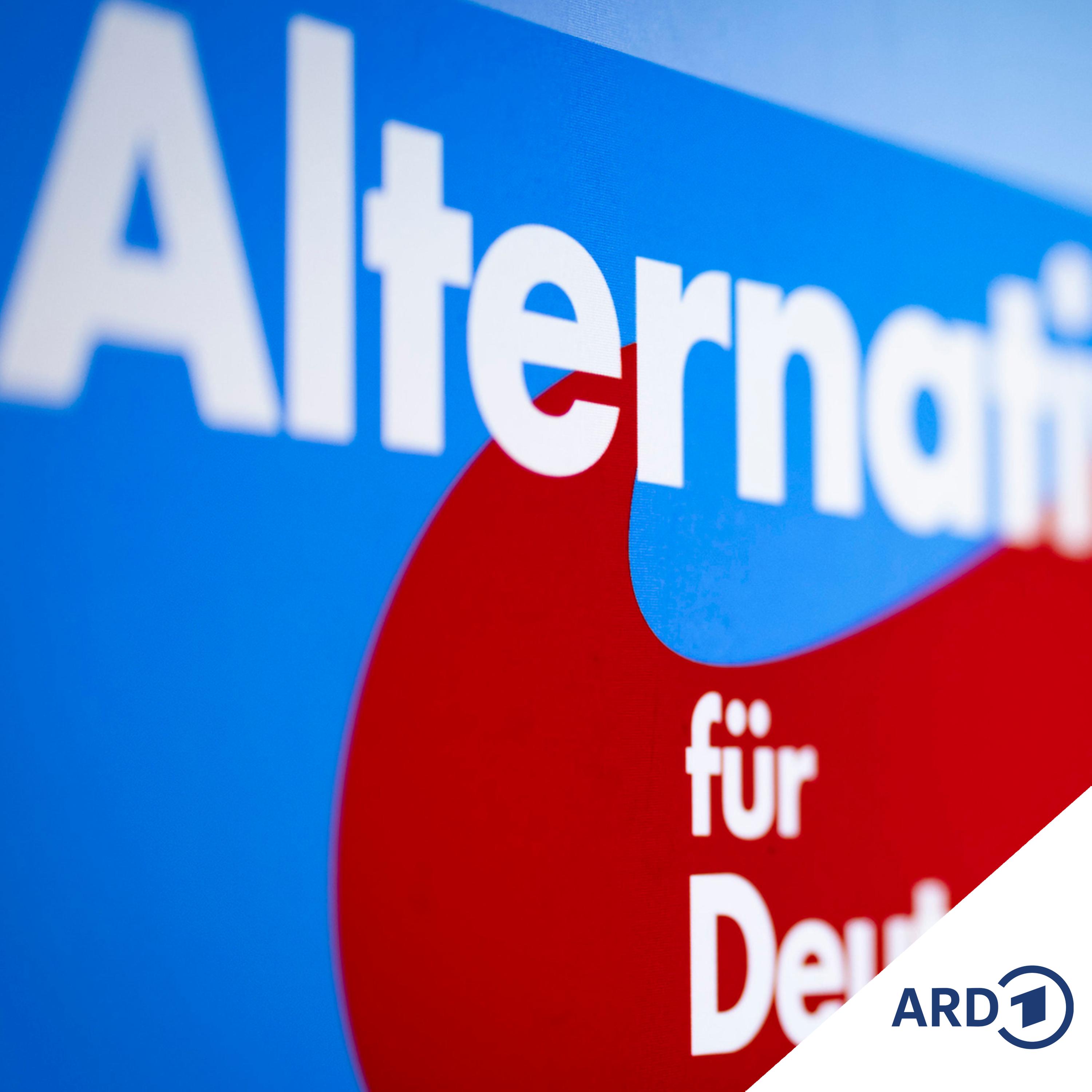 AfD-Hochstufung auf Eis - was heißt das?