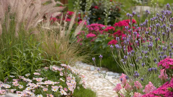 Kiesbeet mit Gräsern und Blumen