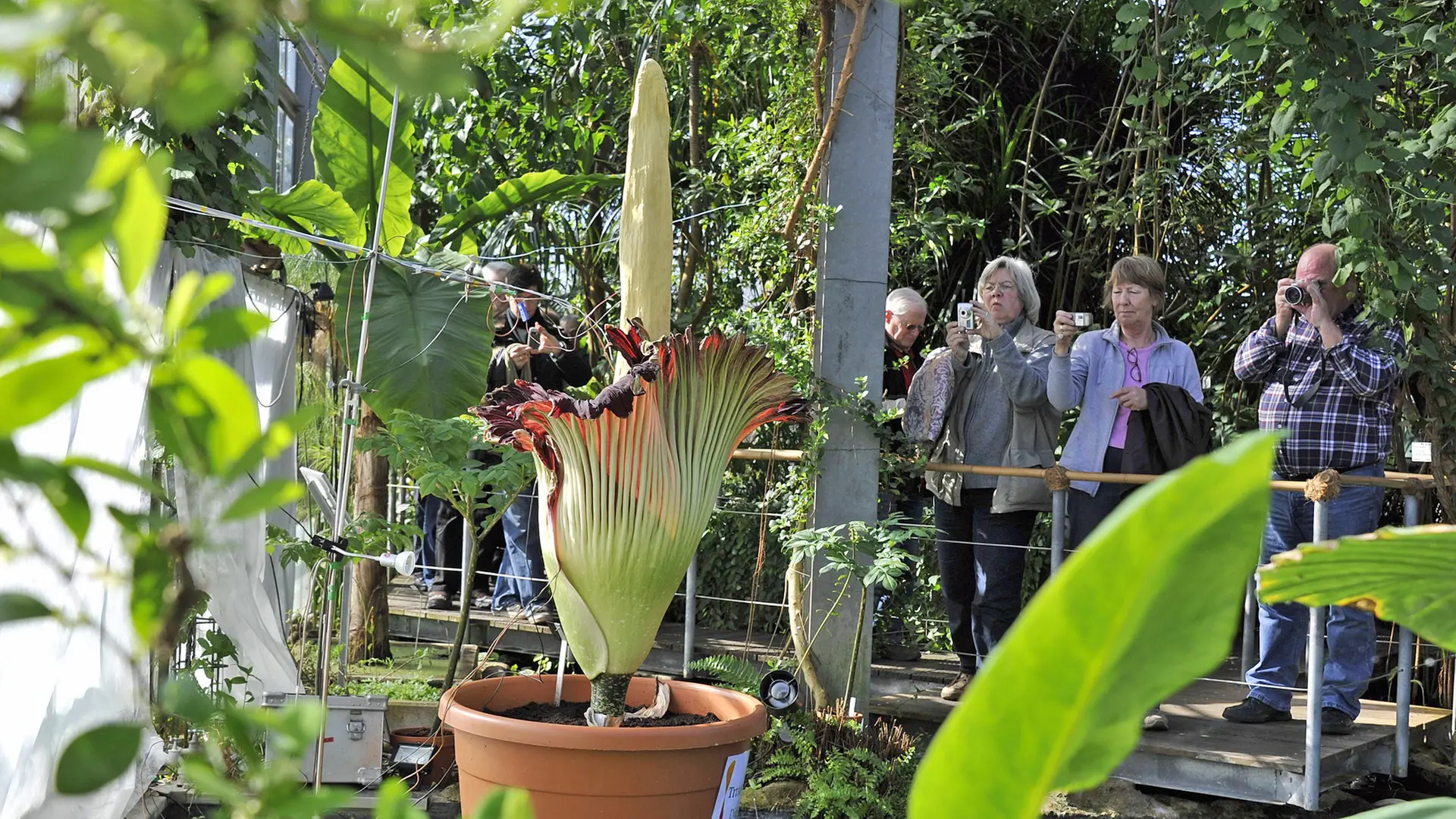 Botanischer Garten in Kiel international ausgezeichnet