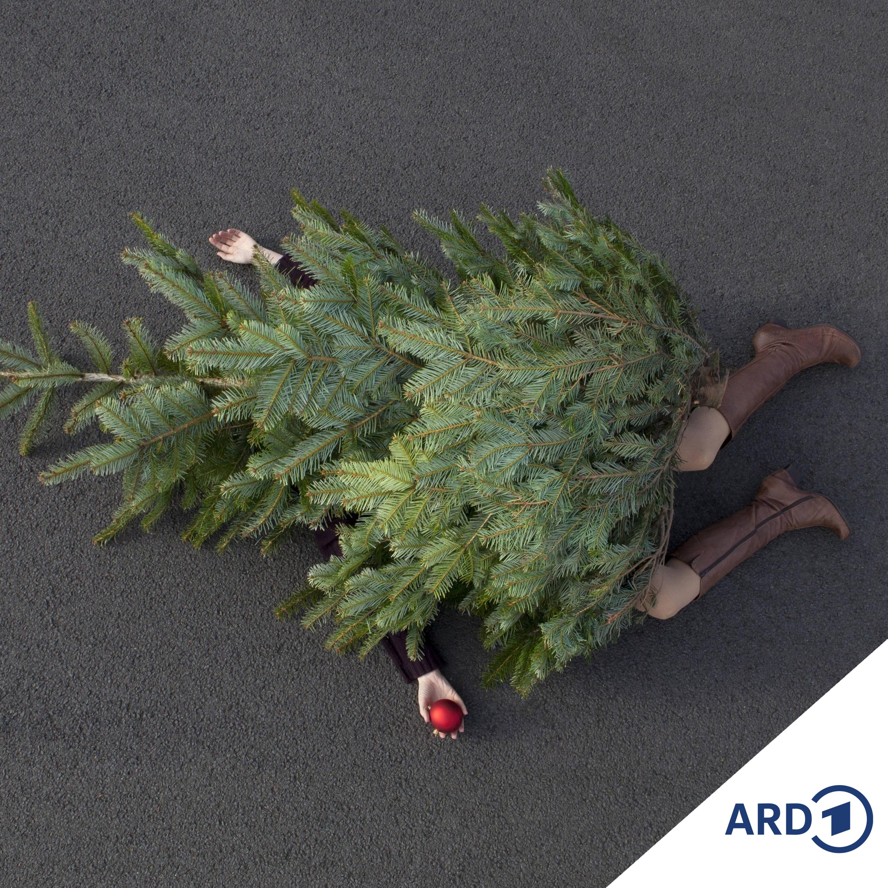 En Grinch to Wiehnachten