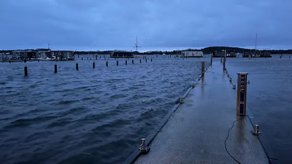 Die Schlei erreichte am Morgen den Scheitelpunkt, der etwa 1,10 Meter betrug. | Moritz Mayer Ein hoher Wasserstand der Schlei in Schleswig.