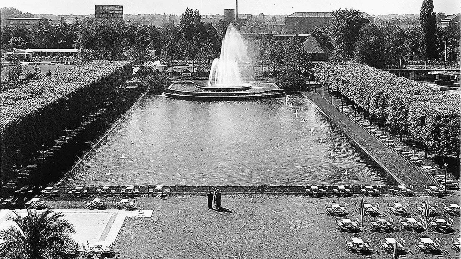 Auf der BUGA 1951 blühen Blumen über Bombentrichtern