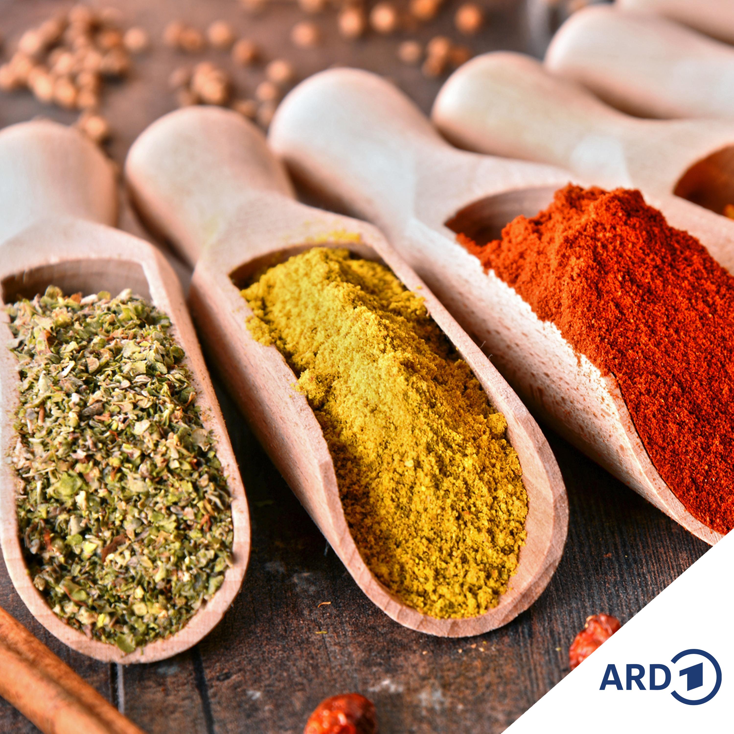 Das Hamburger Hafenkonzert