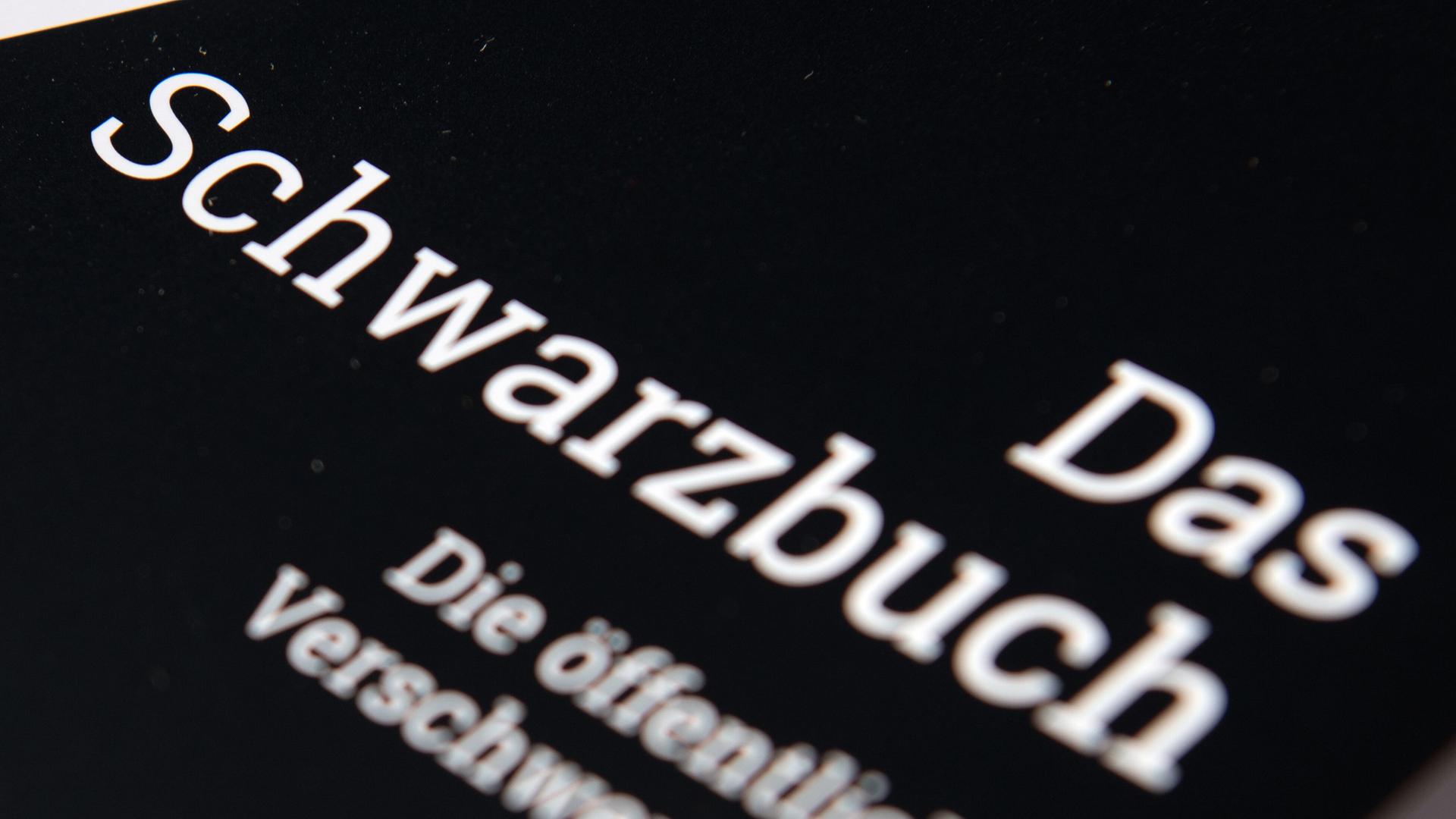 Das Schwarzbuch des Bundes der Steuerzahler liegt auf einem Tisch. | picture alliance/dpa/dpa-Zentralbild | Ralf Hirschberger
