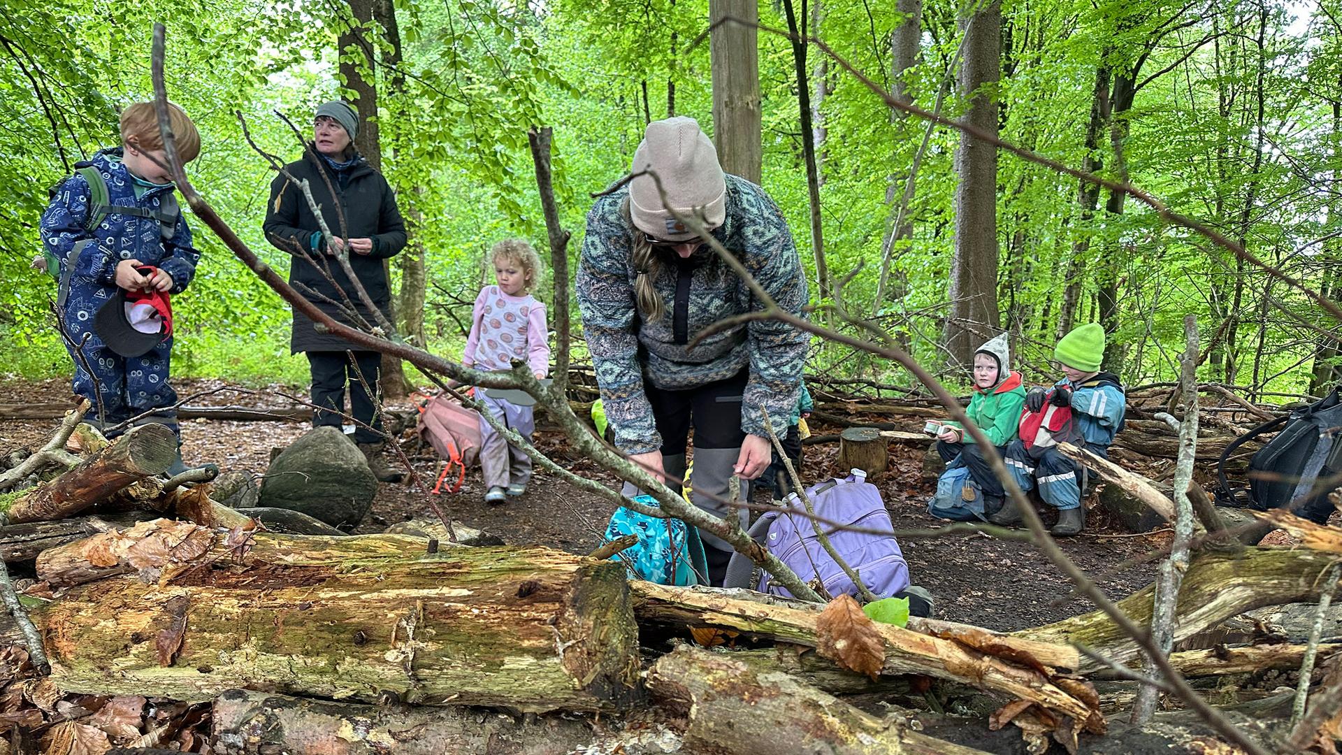 Waldkindergarten: Pädagogen unterstützen Großwerden in der Natur