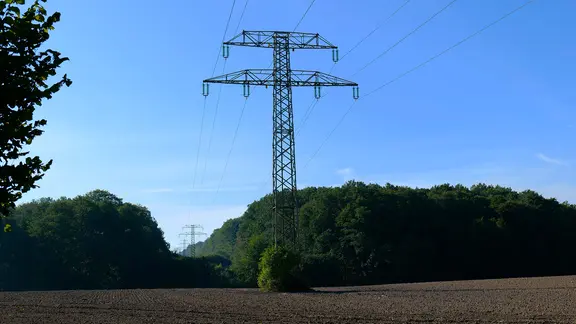 Der Mast einer Überlandleitung steht auf einem Feld vor einem Waldstück.