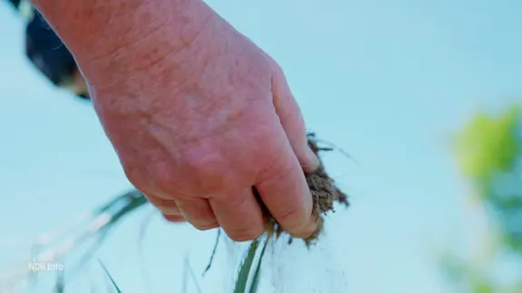 Eine Hand hält trockene Erde.