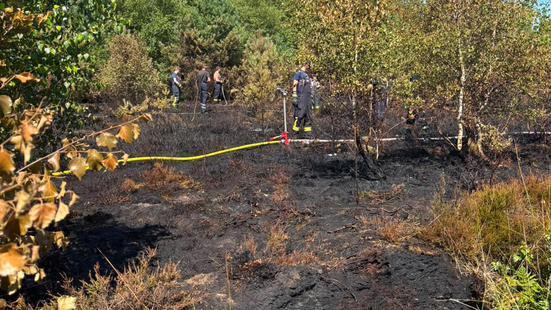 In Aschen (Landkreis Diepholz) gab es einen Moorbrand. | Kreisfeuerwehr Landkreis Diepholz