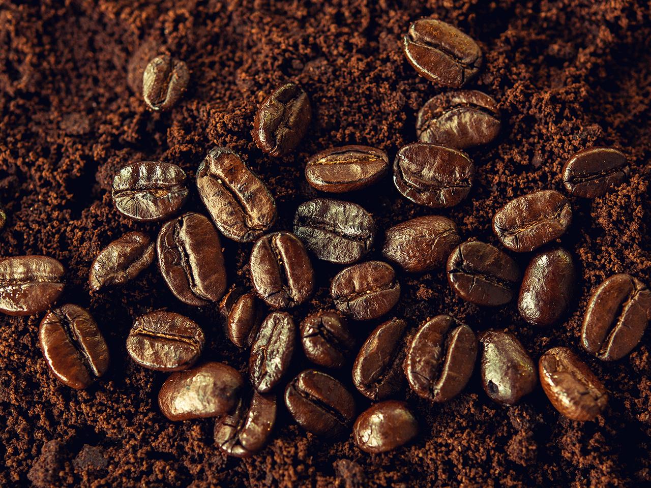 Kaffeesatz als Dnger verwenden und den Boden verbessern | ndr.de