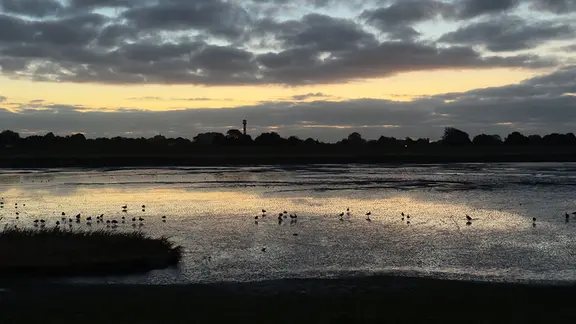 Elbe am Morgen in Glückstadt.