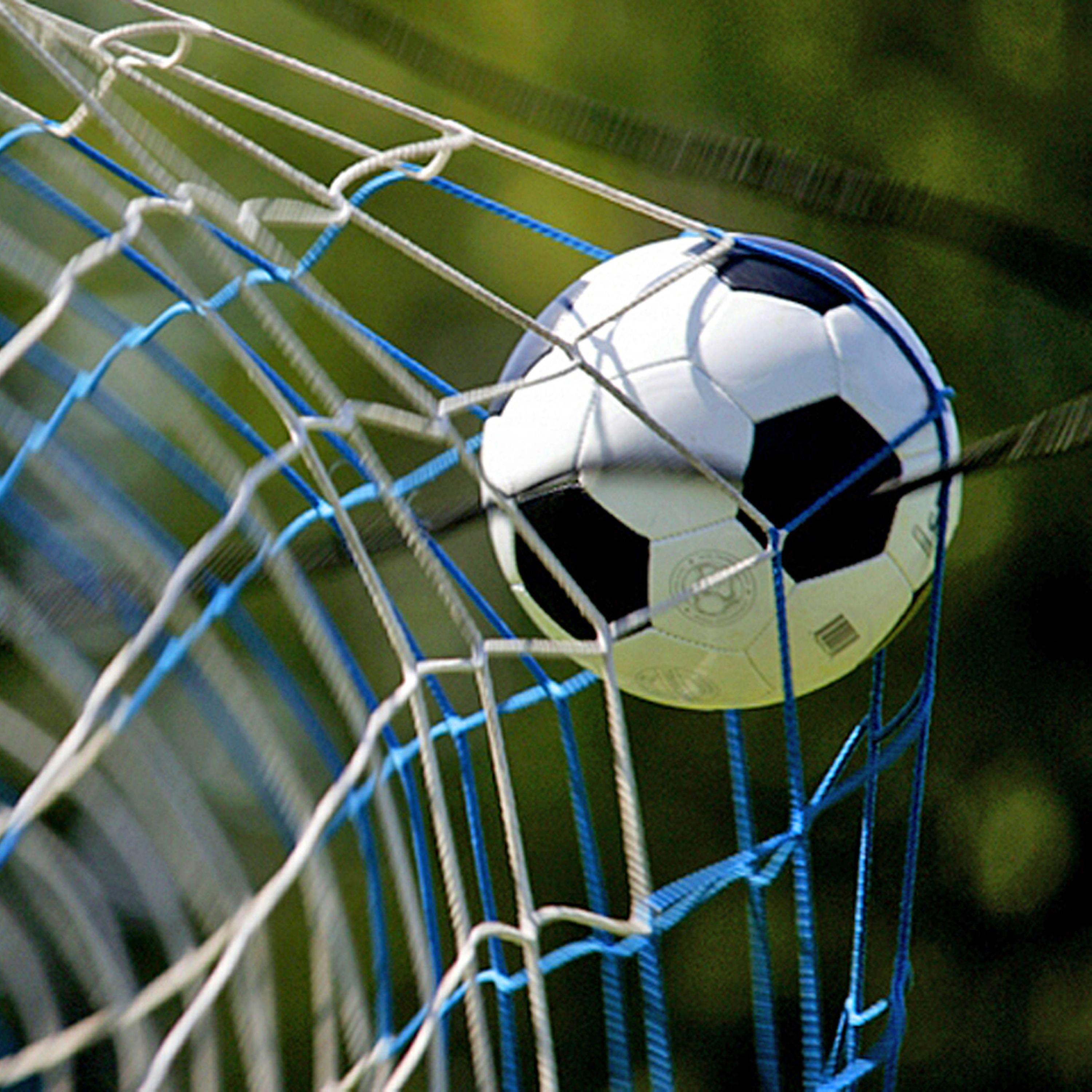 Reitschulen kämpfen um ihre Existenz