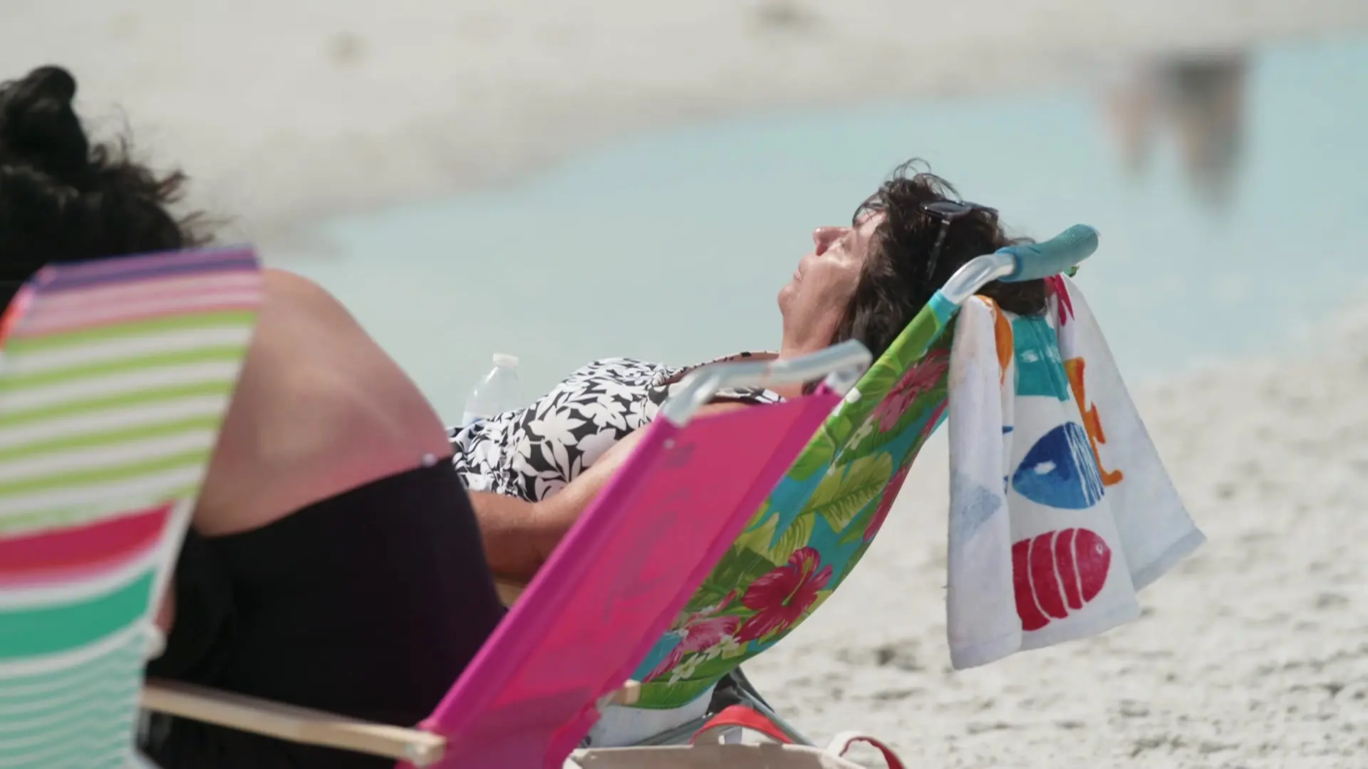 Travel Providers Report Decline in European and Canadian Tourists