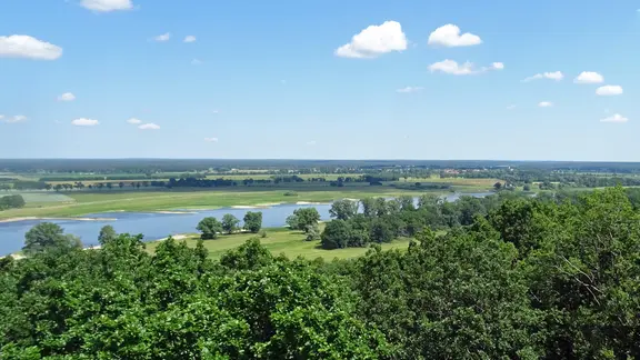 Blick auf die Elbtalaue im Wendland.