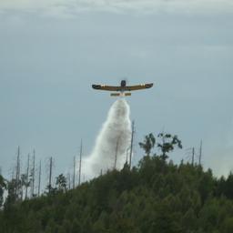 Ein Löschflugzeug fliegt über einem Waldbrand bei Goslar.