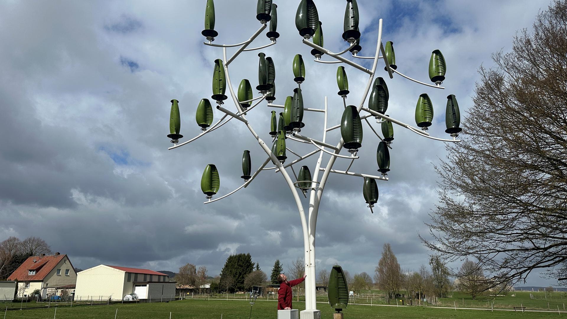 Ein Mann schaut nach oben in einen Windbaum aus Metall. | NDR, Doretta Farnbacher