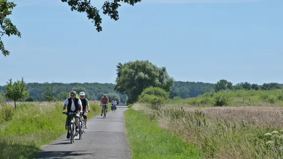 Radfahrer unterwegs in den Meerbruchwiesen am Steinhuder Meer.