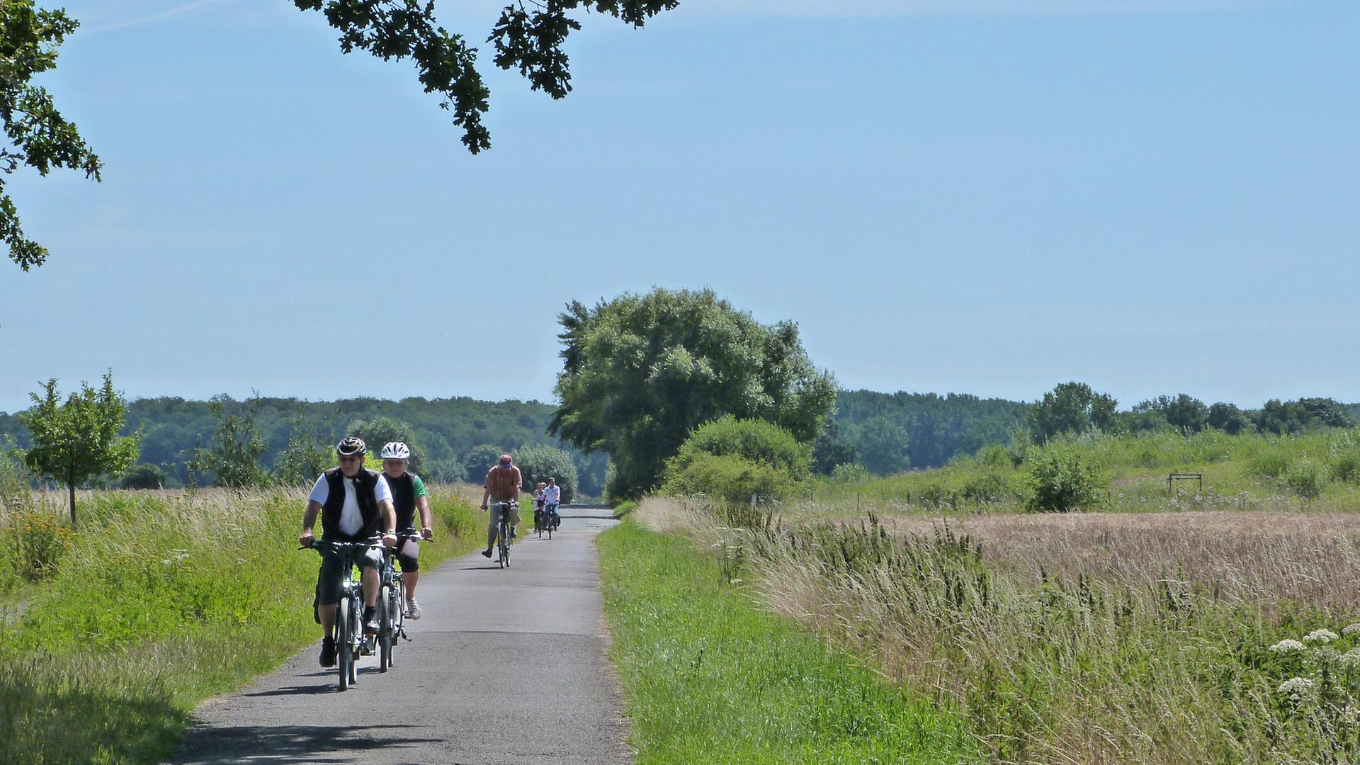 jako o fahrradschloss ROCKBROS Faltschloss mit Halterung – Unimother $3000+ Radfahren für krebskranke Kinder: Antrieb:Kette
