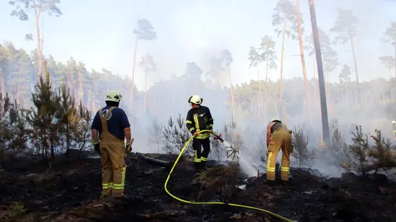 Feuerwehrleute sind in einem Waldstück bei Grabow im Einsatz und löschen den rauchenden Waldboden auf einer etwas lichten Schonung.