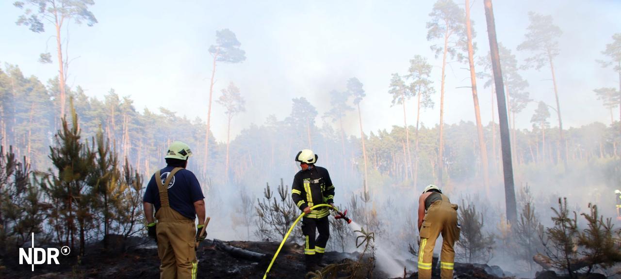 Feuerwehrleute sind in einem Waldstück bei Grabow im Einsatz und löschen den rauchenden Waldboden auf einer etwas lichten Schonung. | Ralf Drefin Feuerwehrleute sind in einem Waldstück bei Grabow im Einsatz und löschen den rauchenden Waldboden auf einer etwas lichten Schonung.