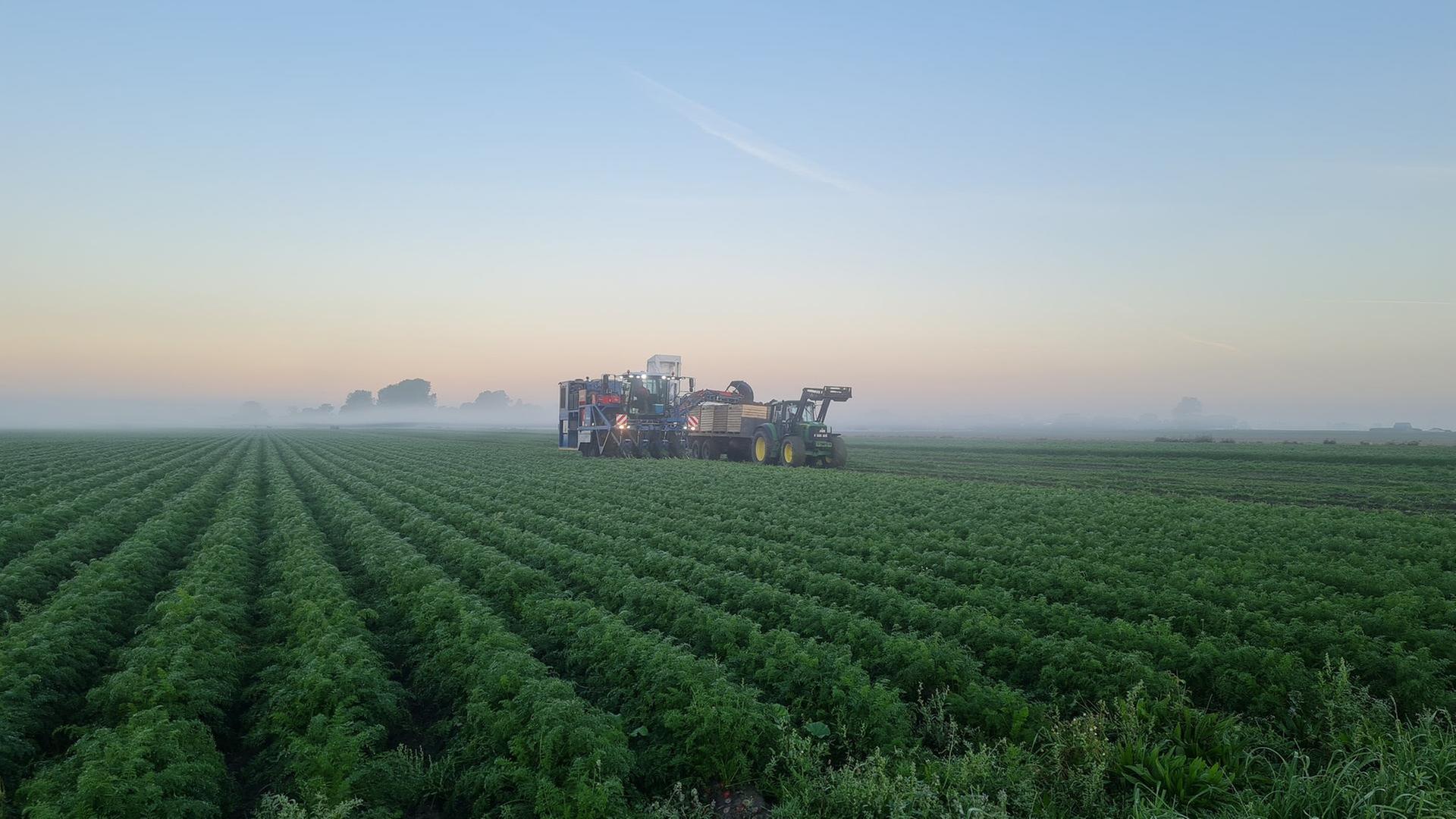 Klimaneutrale Landwirtschaft: Wie ein Vorzeigehof funktioniert