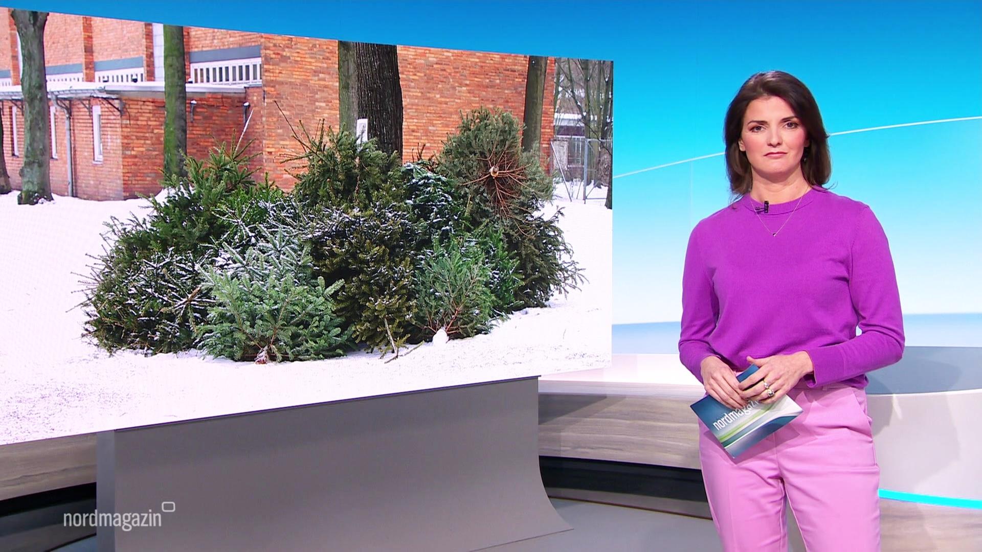 Nordmagazin - Land und Leute | 07.01.2026