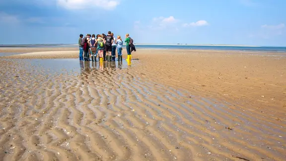 Eine Gruppe bei einer geführten Wattwanderung. 