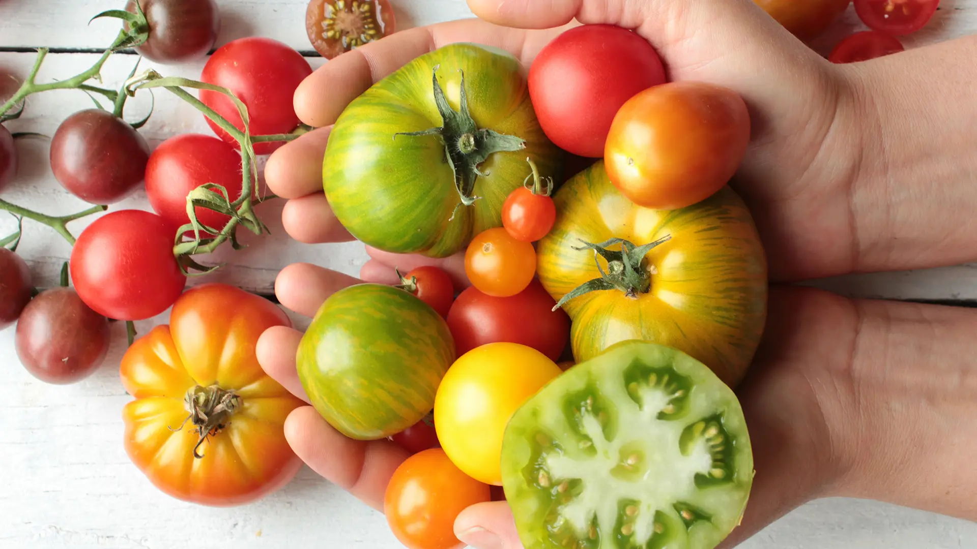 Tomaten: Gesundes Gemüse mit viel Geschmack