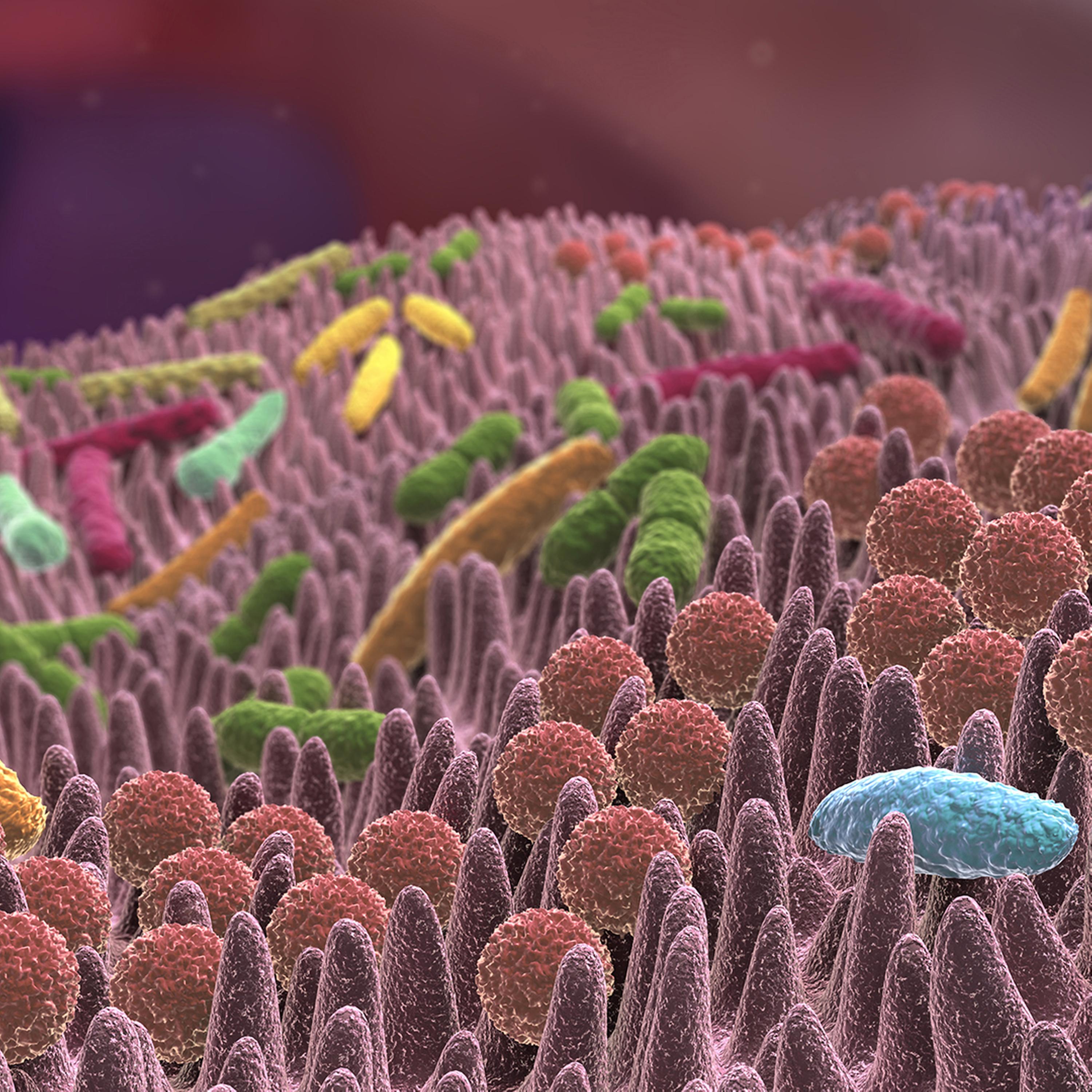 Synapsen – ein Wissenschaftspodcast