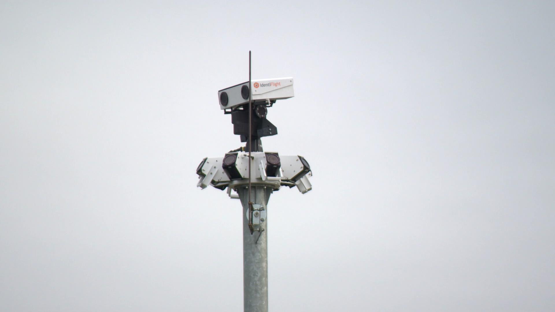 Vogelschutz für Windräder – vollautomatisch durch KI-Kameras