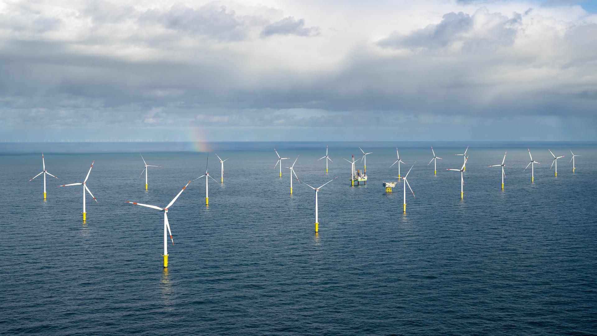 Der Offshore-Windpark Riffgat in der Nordsee, 15 Kilometer von Borkum entfernt. | picture alliance/dpa, Sina Schuldt