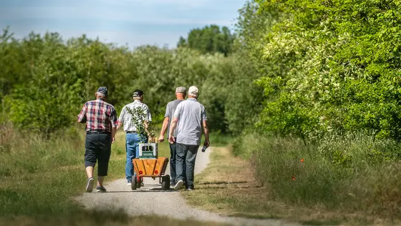 Vier Männer gehen am Vatertag mit einem Bollerwagen, auf dem zwei Kisten Bier stehen, einen Weg entlang.