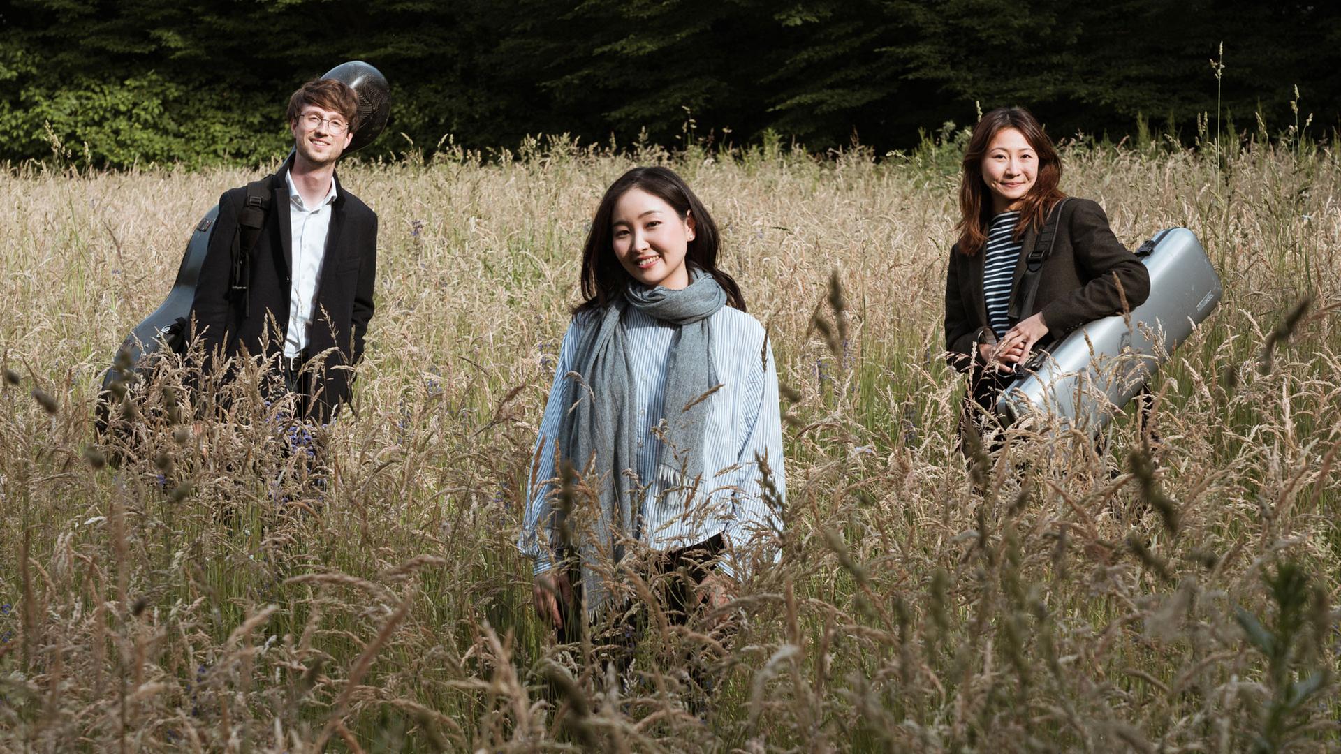 Drei junge Leute stehen mit ihren Musikinstrumenten auf einer Wiese zwischen blühenden Grashalmen. | Sören L. Schirmer, Sören L. Schirmer