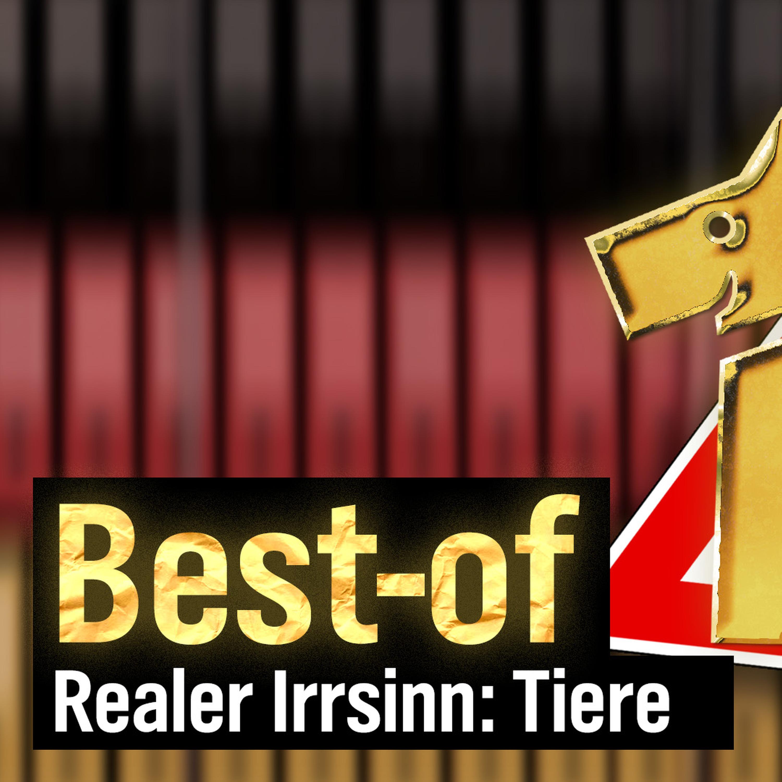 extra 3 Spezial: Best-of "Der reale Irrsinn" (Tiere) vom 17.11.2024