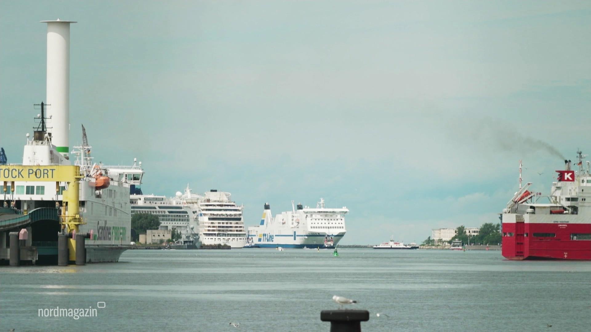 Mehrere Fähren und Kreuzfahrtschiffe fahren auf dem Wasser (Archivbild). | Screenshot