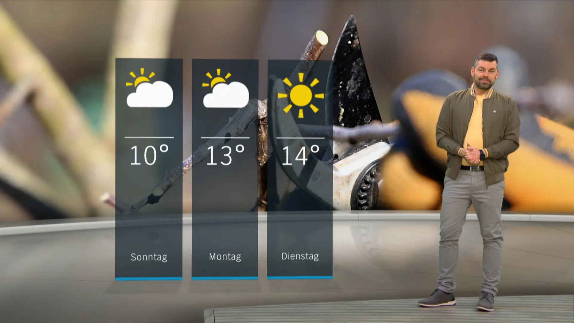 So wird das Wetter in Schleswig-Holstein