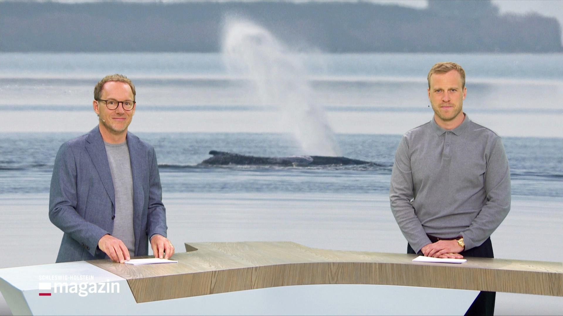 Julian Krafftzig und henrik Hanses im Studio. | Screenshot