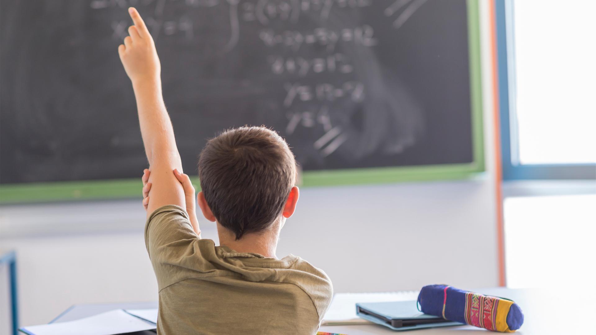 Wie sich die Kürzungen an Hamburgs Schulen auswirken Wie sich die Kürzungen an Hamburgs Schulen auswirken
