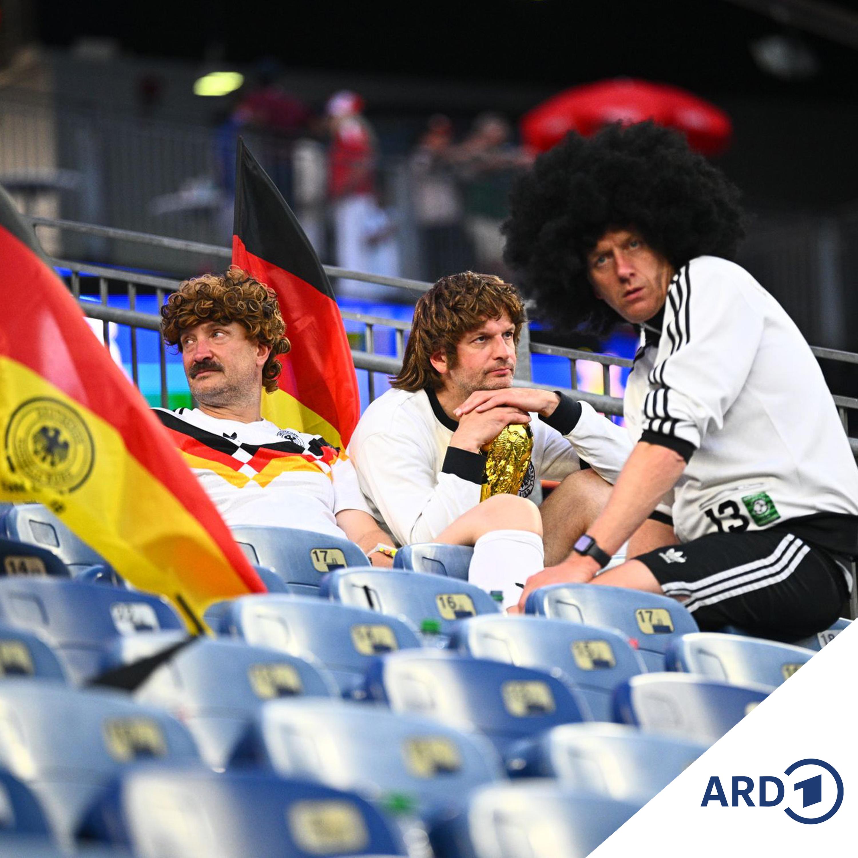 WM-Aus für Deutschland episode artwork