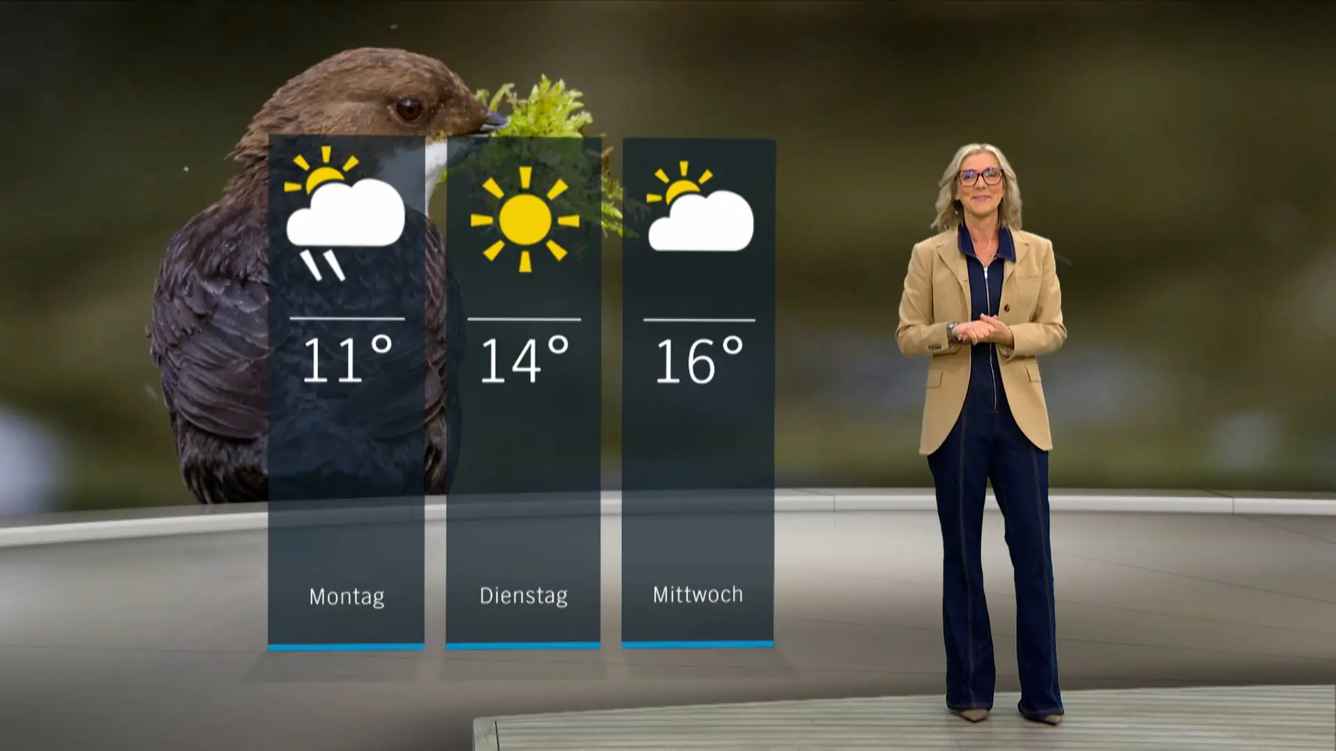 So wird das Wetter in Schleswig-Holstein