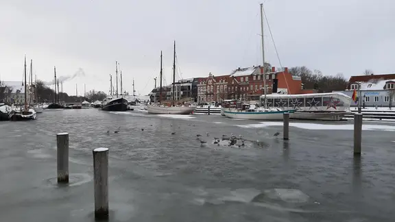 Ein Fluss ist mit einer dünnen Eisdecke überzogen. | NDR Ein Fluss ist mit einer dünnen Eisdecke überzogen.
