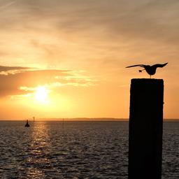 Sonnenuntergang über der Nordsee im nordfriesischen Dagebüll.