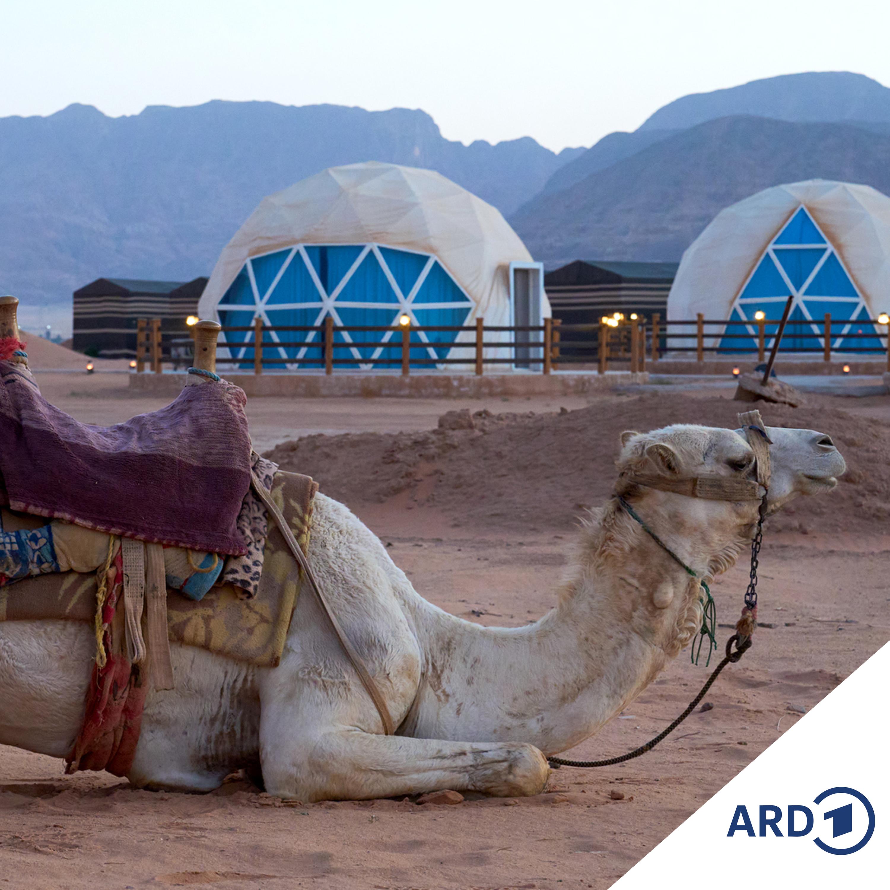 Zwischen Hamburg und Haiti